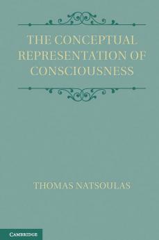The Conceptual Representation of Consciousness