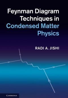 Feynman Diagram Techniques in Condensed Matter Physics