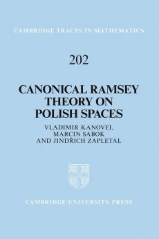 Canonical Ramsey Theory on Polish Spaces