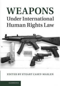 Weapons Under International Human Rights Law