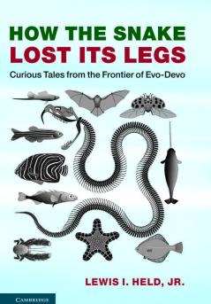How the Snake Lost Its Legs