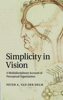 Simplicity in Vision
