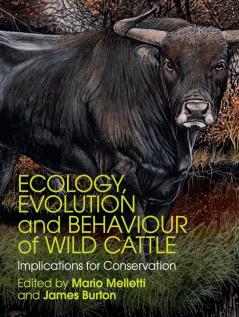 Ecology Evolution and Behaviour of Wild             Cattle