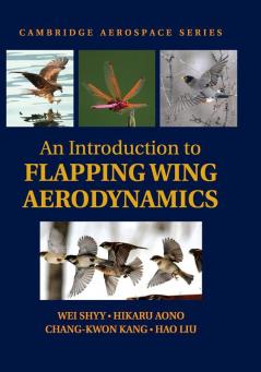 An Introduction to Flapping Wing Aerodynamics