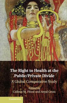 The Right to Health at the Public/Private             Divide