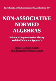 Non-Associative Normed Algebras