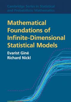 Mathematical Foundations of Infinite-Dimensional Statistical Models