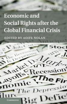 Economic and Social Rights after the Global Financial             Crisis