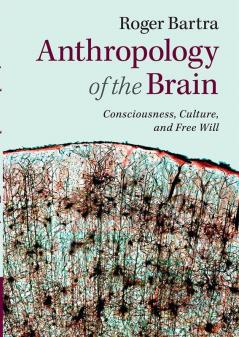 Anthropology of the Brain