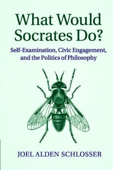 What Would Socrates Do?