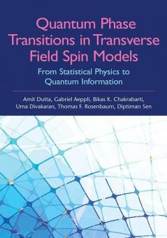 Quantum Phase Transitions in Transverse Field Spin Models