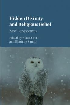 Hidden Divinity and Religious Belief