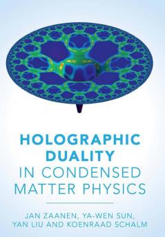 Holographic Duality in Condensed Matter Physics