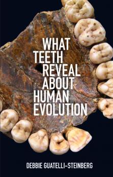 What Teeth Reveal about Human Evolution