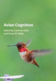 Avian Cognition