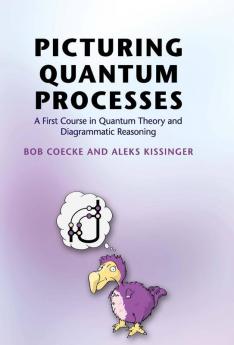 Picturing Quantum Processes
