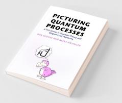 Picturing Quantum Processes