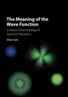 The Meaning of the Wave Function