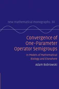 Convergence of One-parameter Operator Semigroups