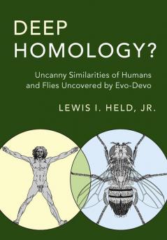 Deep Homology?
