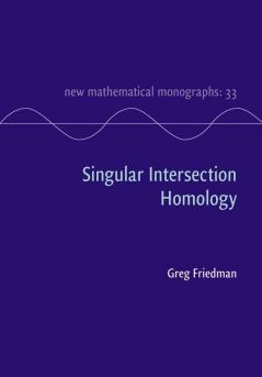 Singular Intersection Homology