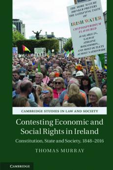Contesting Economic and Social Rights in Ireland