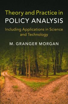 Theory and Practice in Policy Analysis