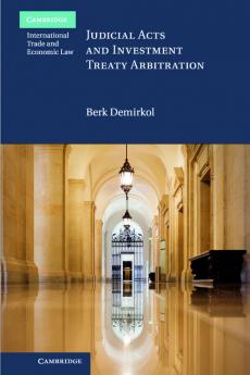 Judicial Acts and Investment Treaty             Arbitration