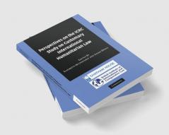 Perspectives on the Icrc Study on Customary International Humanitarian Law