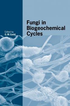 Fungi in Biogeochemical Cycles