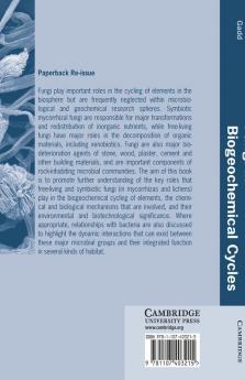 Fungi in Biogeochemical Cycles