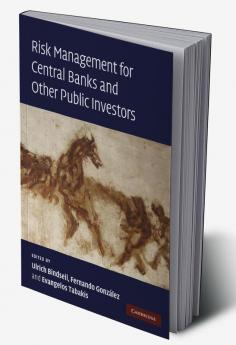 Risk Management for Central Banks and Other Public Investors