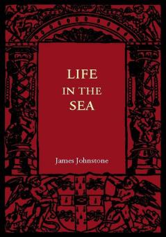 Life in the Sea