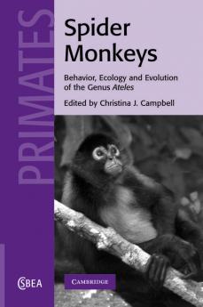 Spider Monkeys