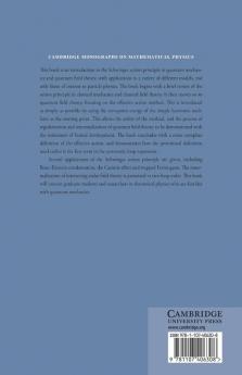 The Schwinger Action Principle and Effective Action