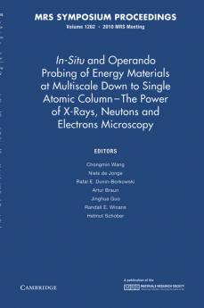 In-Situ and Operando Probing of Energy Materials at Multiscale Down to Single Atomic Column - The Power of X-Rays Neutrons and Electron Microscopy