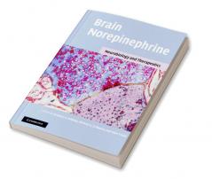 Brain Norepinephrine