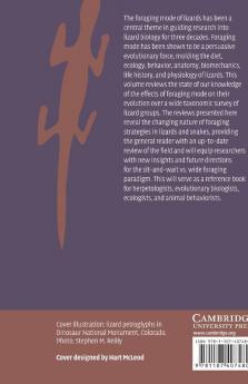 Lizard Ecology