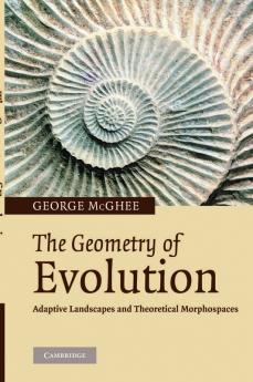 The Geometry of Evolution