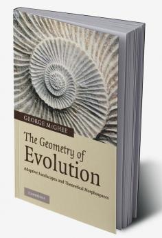 The Geometry of Evolution