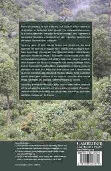 Tropical Forest Insect Pests