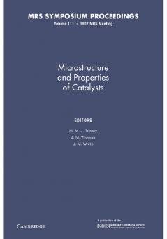 Microstructure and Properties of Catalysts
