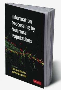 Information Processing by Neuronal Populations
