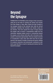 Beyond the Synapse