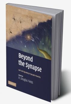 Beyond the Synapse