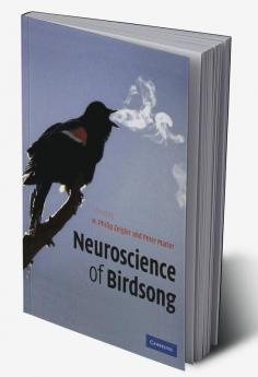 Neuroscience of Birdsong