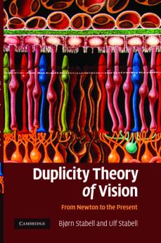 Duplicity Theory of Vision