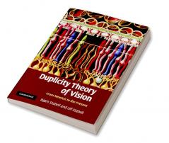 Duplicity Theory of Vision