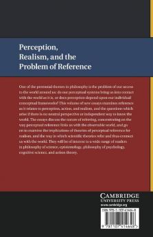 Perception Realism and the Problem of Reference