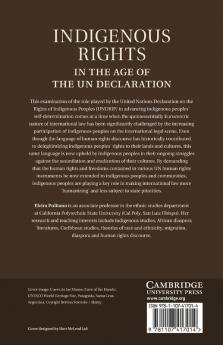 Indigenous Rights in the Age of the Un Declaration
